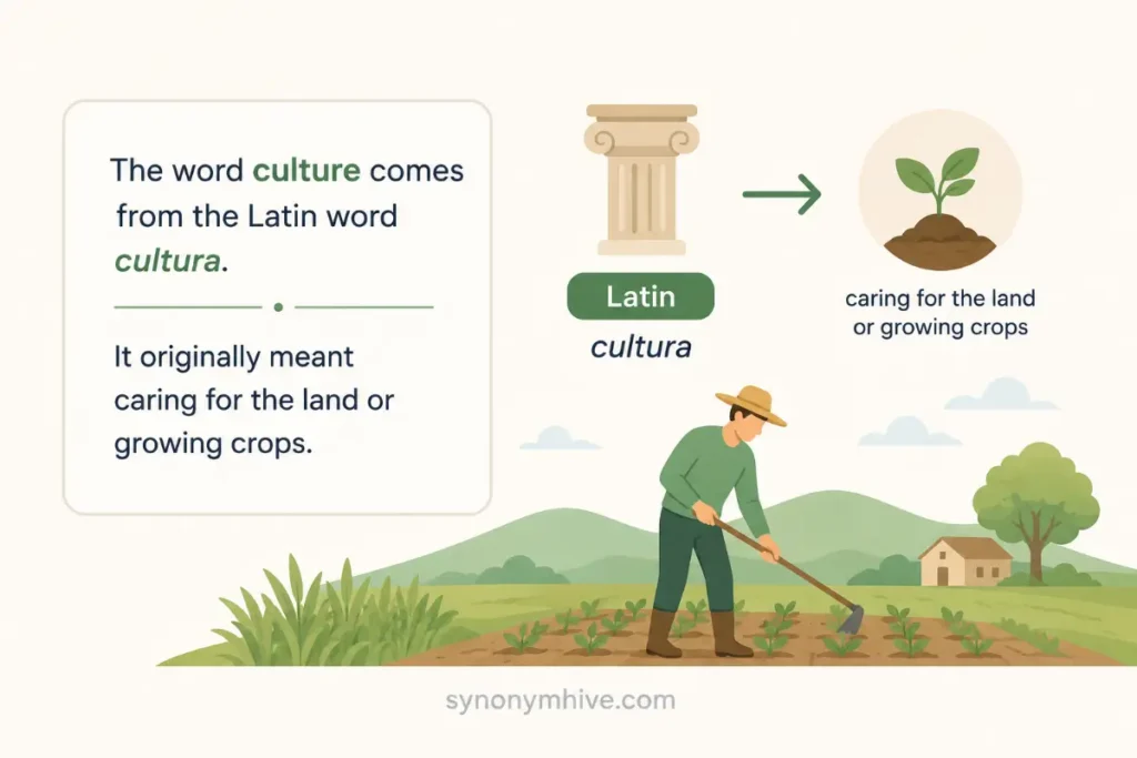 Where Did The Word Culture Come From